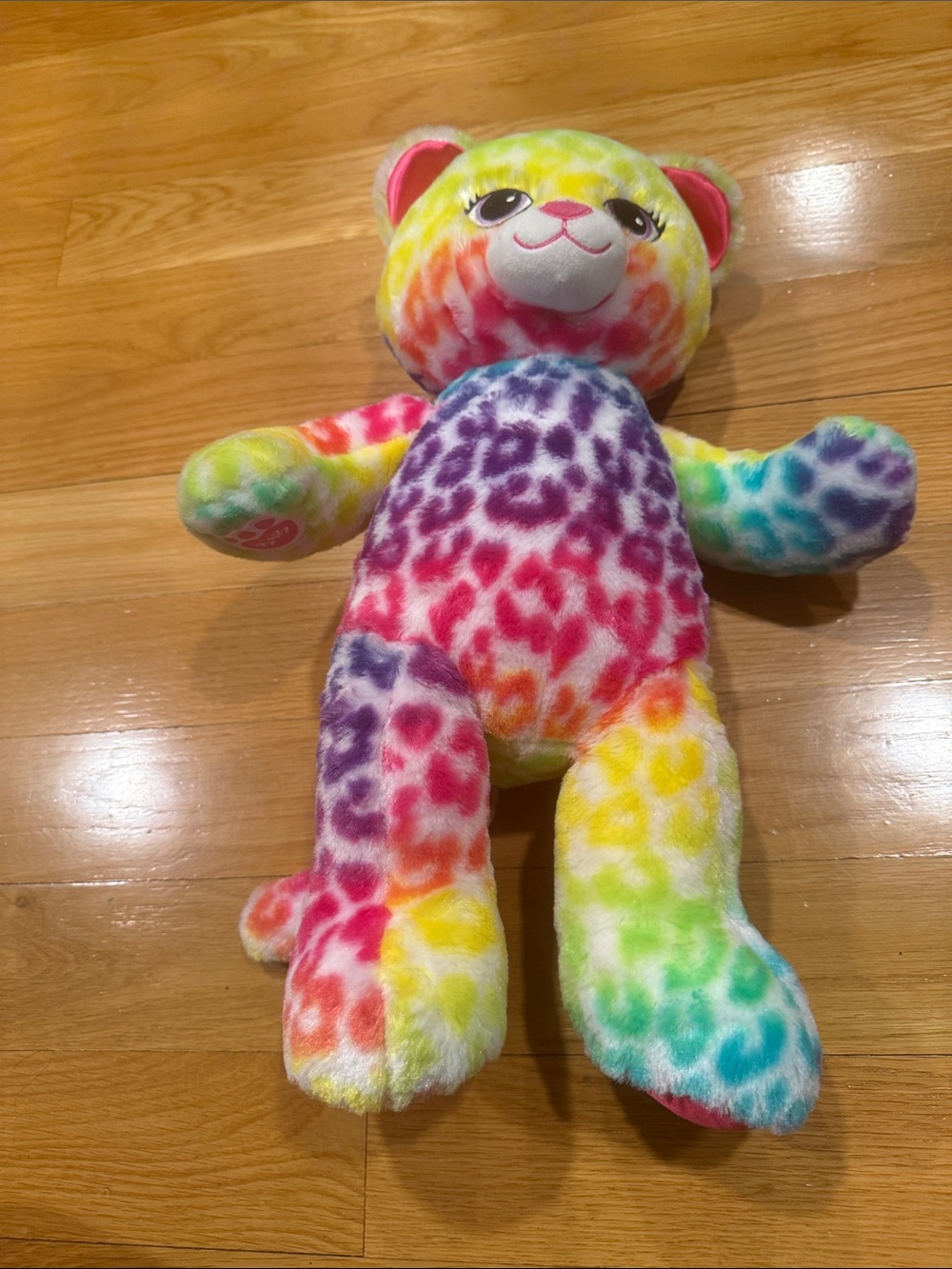 Bulid a bear rainbow cat .